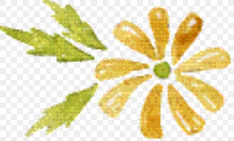 Plants Background, PNG, 2212x1336px, Plant Stem, Flower, Fruit, Leaf, Petal Download Free