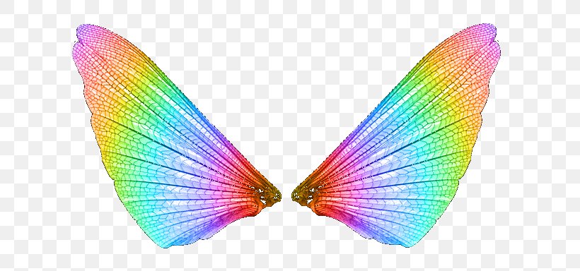 Butterfly Light Color, PNG, 654x384px, Butterfly, Color, Insect, Invertebrate, Light Download Free