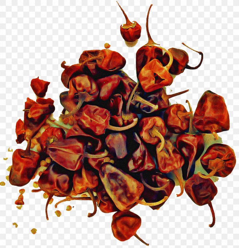 Chili Pepper Peperoncini Food Paprika Plant, PNG, 1000x1036px, Chili Pepper, Food, Habanero Chili, Malagueta Pepper, Paprika Download Free