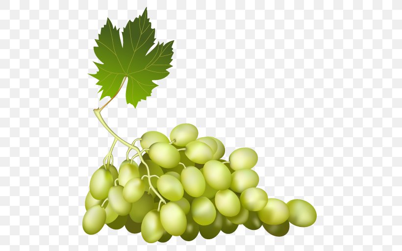 Common Grape Vine Red Wine Sultana, PNG, 512x512px, Common Grape Vine, Food, Fruit, Grape, Grape Leaves Download Free