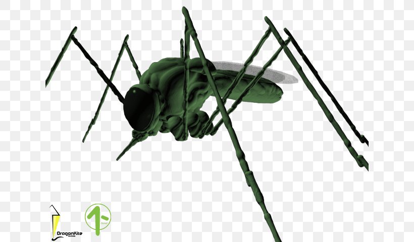 Cricket Insect Cloning Pest Game, PNG, 640x480px, Cricket, All The Way Up, Arthropod, Cloning, Cricket Like Insect Download Free