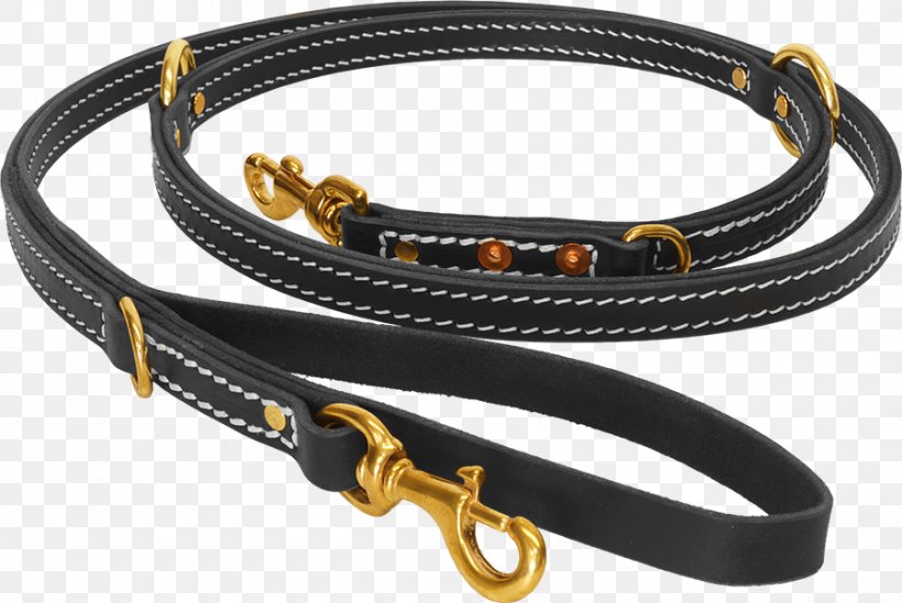 Leash Dog Collar Lead Working Dog, PNG, 900x603px, Leash, Collar, Detection Dog, Dock Jumping, Dog Download Free