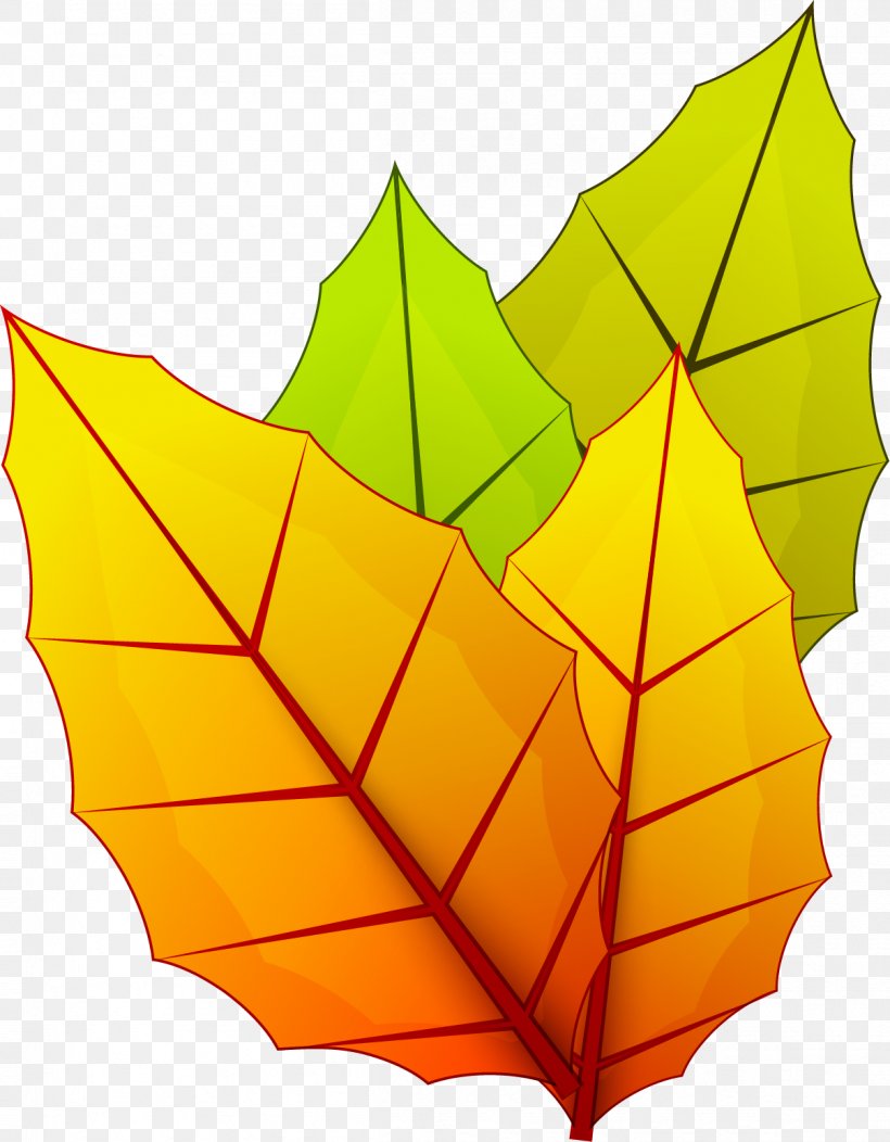 Leaf Autumn Computer File, PNG, 1206x1548px, Leaf, Aestheticism, Autumn, Symmetry, Tree Download Free