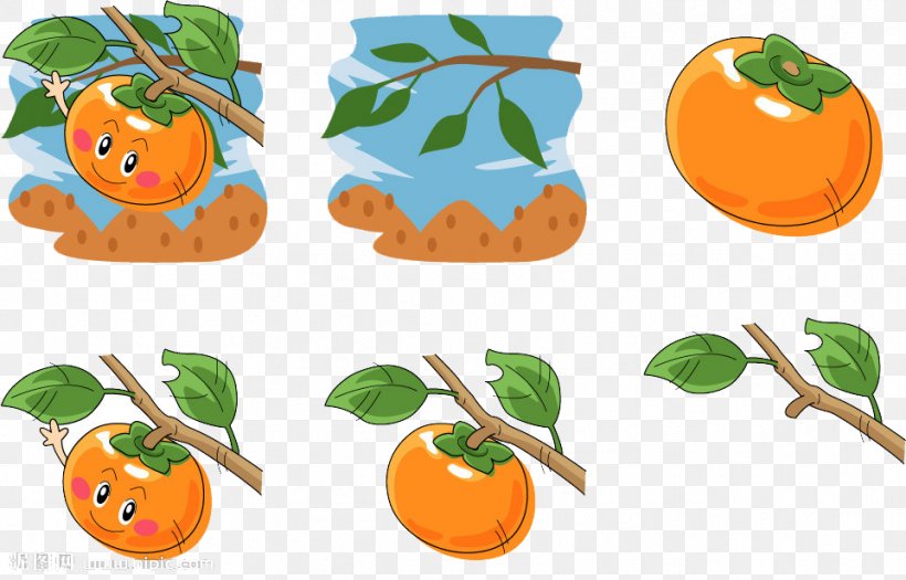 Persimmon Cartoon Illustration, PNG, 962x616px, Persimmon, Apple, Auglis, Branch, Cartoon Download Free