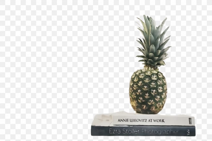 Pineapple, PNG, 2000x1332px, Watercolor, Ananas, Food, Fruit, Paint Download Free