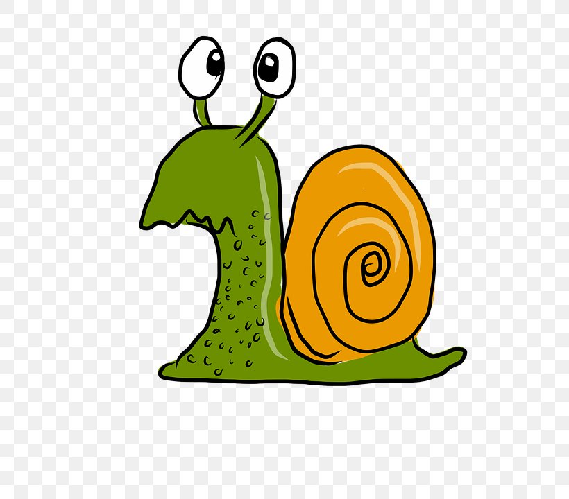 Snail Racing Schnecken Slug Clip Art, PNG, 720x720px, Snail, Animal, Area, Artwork, Cartoon Download Free