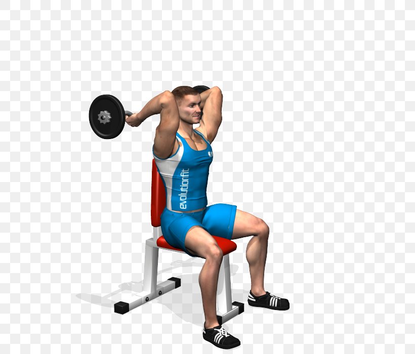 Weight Training Dip Dumbbell Lying Triceps Extensions Barbell, PNG, 700x700px, Watercolor, Cartoon, Flower, Frame, Heart Download Free