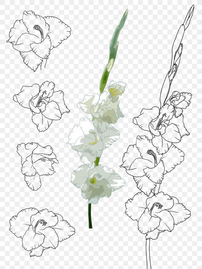Floral Design Gladiolus Xd7gandavensis Painting Illustration, PNG, 900x1200px, Floral Design, Art, Artwork, Black And White, Branch Download Free