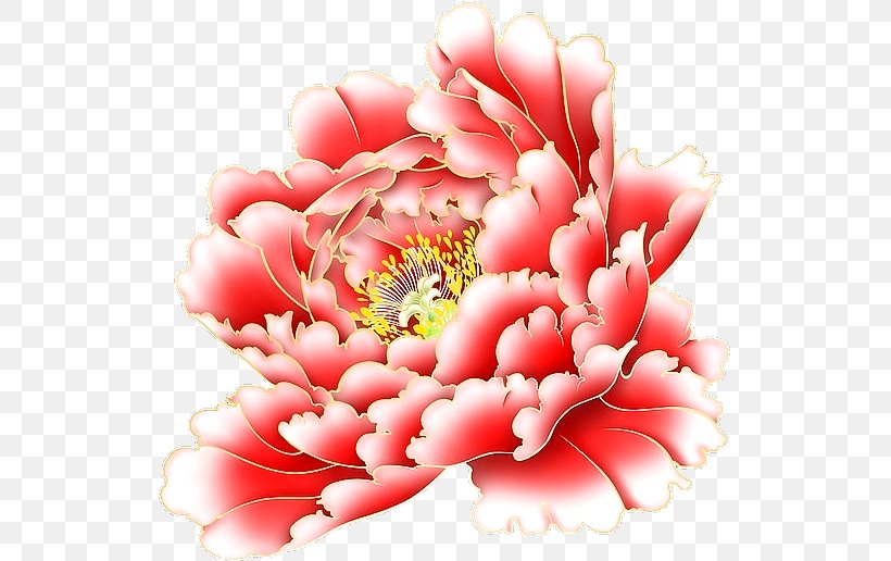 Floral Design Pink Flower, PNG, 527x516px, Floral Design, Blue, Carnation, Cut Flowers, Floristry Download Free