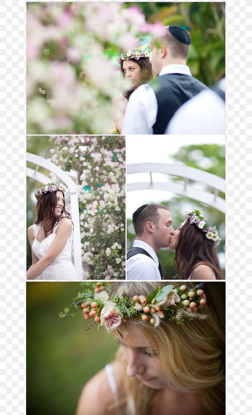 Floral Design Wedding Flower Bouquet Crown, PNG, 725x1350px, Floral Design, Bridal Clothing, Bride, Ceremony, Collage Download Free