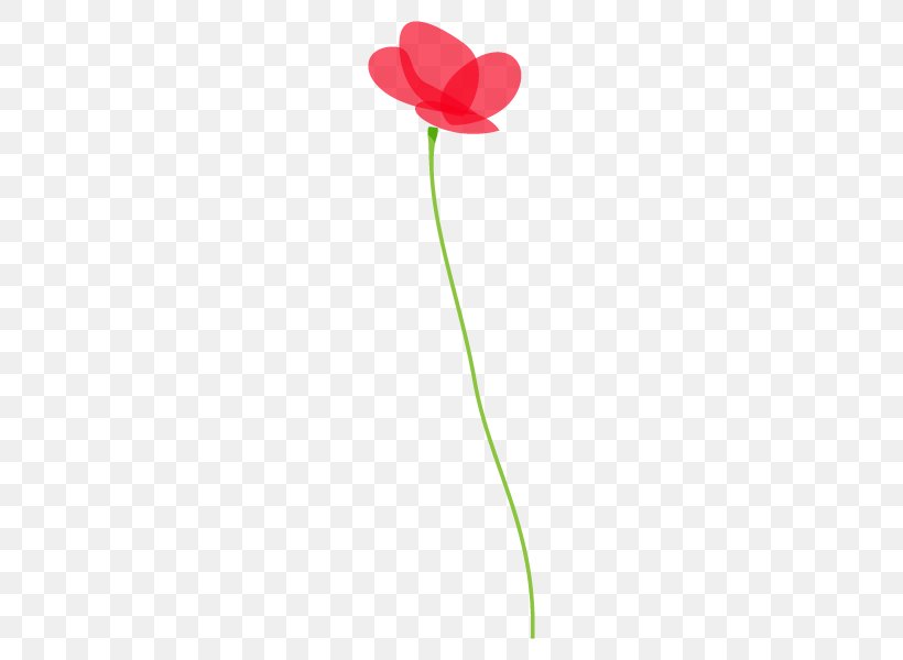 Illustration Plants Design Common Poppy Flower, PNG, 600x600px, Plants, Anthurium, Botany, Common Poppy, Coquelicot Download Free