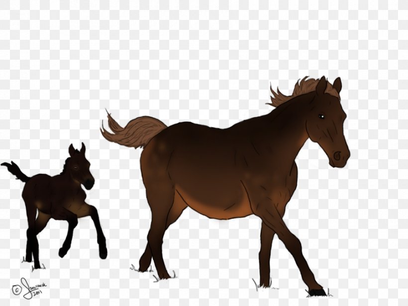 Mule Foal Mustang Mare Colt, PNG, 900x675px, 2019 Ford Mustang, Mule, Animal Figure, Bridle, Colt Download Free