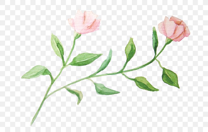 Watercolour Flowers Garden Roses Watercolor Painting, PNG, 700x520px, Watercolour Flowers, Branch, Bud, Cut Flowers, Flora Download Free