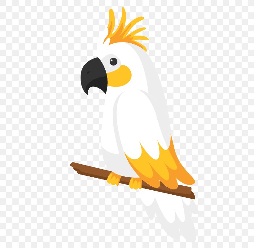 Bird Euclidean Vector True Parrot, PNG, 800x800px, Parrot, Animal, Beak, Bird, Cartoon Download Free