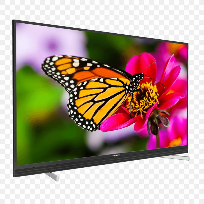 Butterfly Gardening Flower LED-backlit LCD Television, PNG, 960x960px, 4k Resolution, Butterfly, Advertising, Back Garden, Brush Footed Butterfly Download Free
