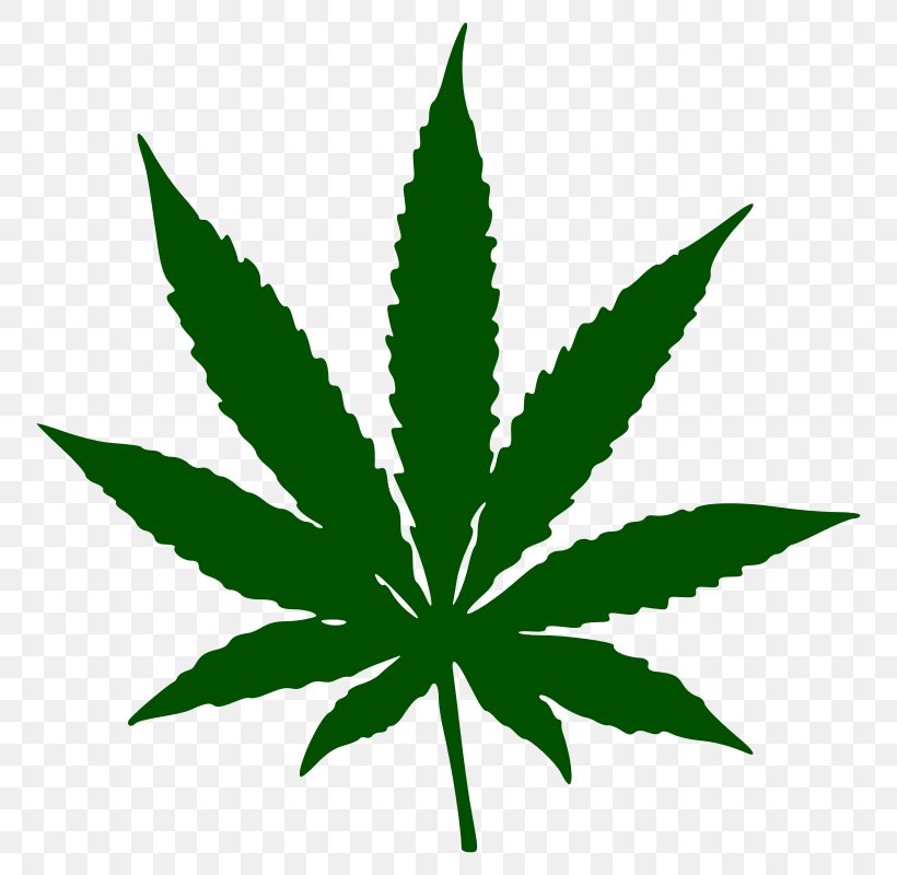Medical Cannabis Leaf Smoking Clip Art, PNG, 800x800px, Cannabis, Cannabis Sativa, Cannabis Smoking, Drug, Grass Download Free