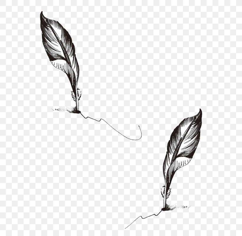 Paper Quill Feather Tattoo Pen, PNG, 800x800px, Paper, Abziehtattoo, Advertising, Bird, Black And White Download Free