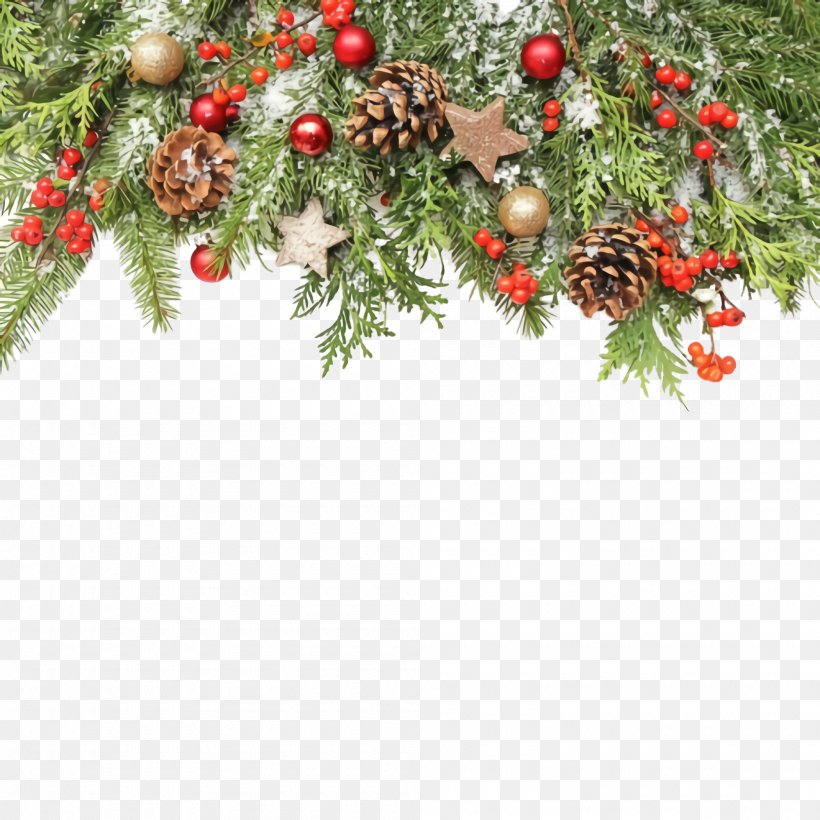 Christmas Decoration, PNG, 2000x2000px, Christmas Decoration, Branch, Christmas Ornament, Christmas Tree, Evergreen Download Free
