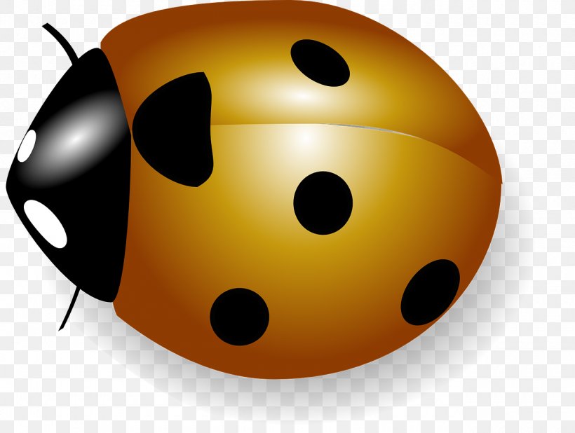 Download Ladybird Clip Art, PNG, 1280x965px, Ladybird, Beetle, Cartoon, Graphic Arts, Insect Download Free