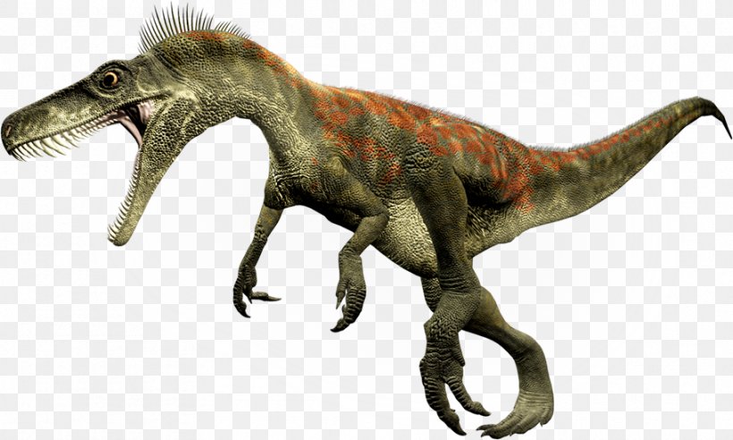 Herrerasaurus Staurikosaurus Theropods Eoraptor Lunensis Dinosaur Size, PNG, 910x547px, Herrerasaurus, Alwalkeria, Compsognathus, Dinosaur, Dinosaur Size Download Free