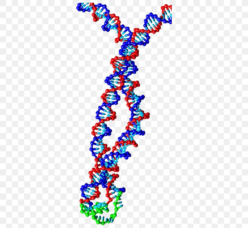 Human Body Body Jewellery Necklace DNA, PNG, 730x754px, Human Body, Art, Body Jewellery, Body Jewelry, Computer Download Free