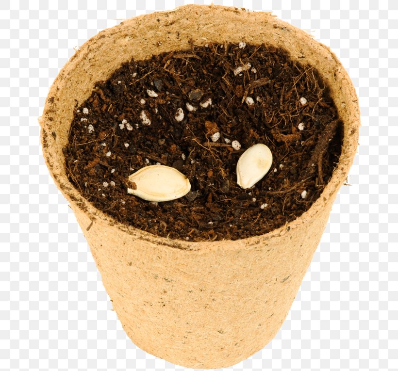 Soil Flowerpot, PNG, 675x765px, Soil, Flowerpot Download Free