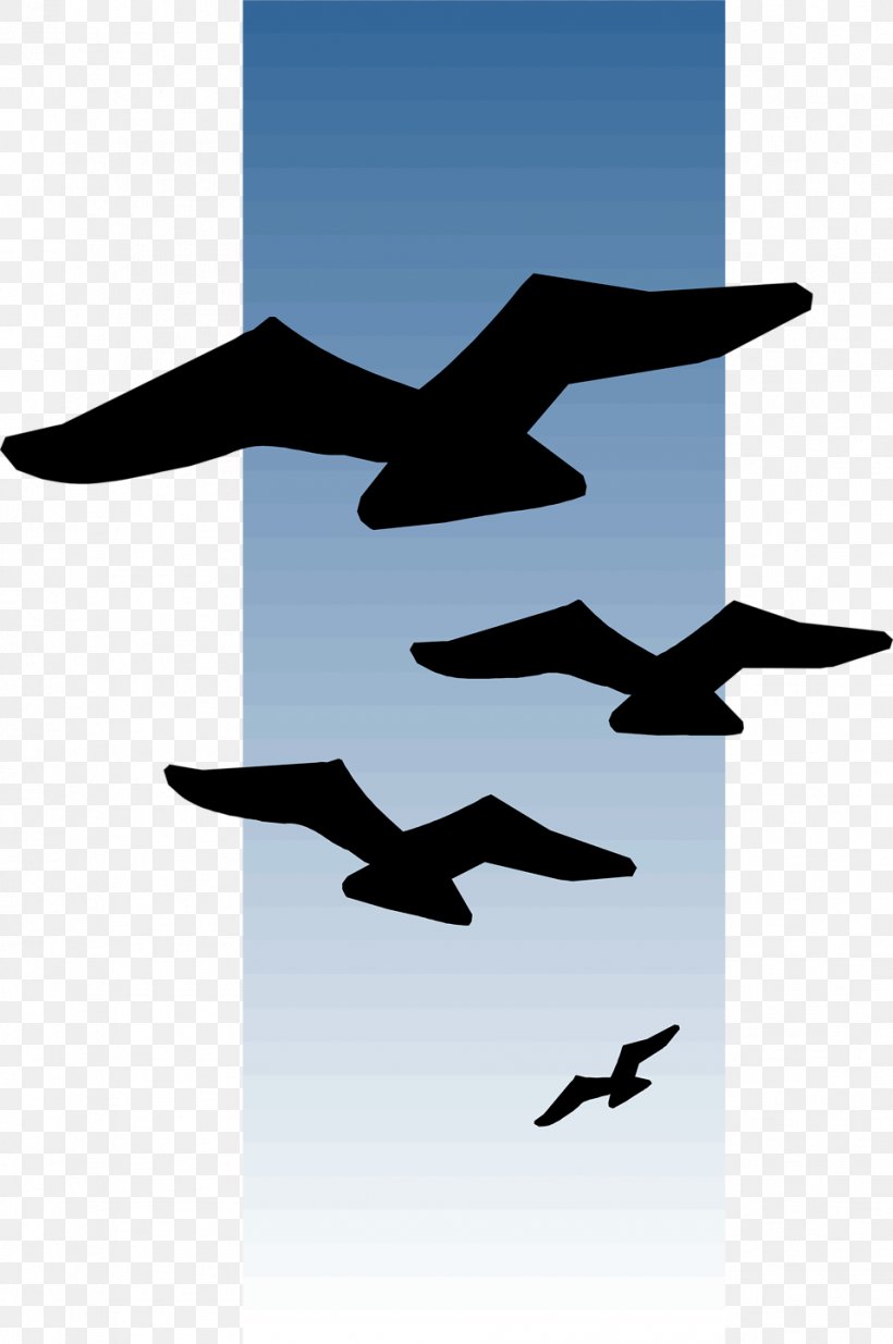 Bird Flight Bird Flight Clip Art, PNG, 958x1443px, Flight, Beak, Bird, Bird Flight, Drawing Download Free