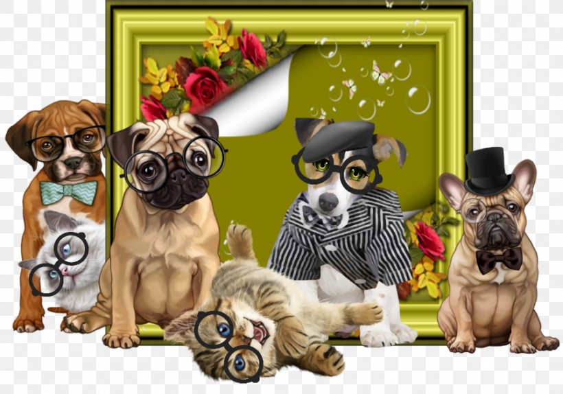 Maltipoo Pug Puppy Clip Art, PNG, 900x630px, Maltipoo, Animal, Blog, Carnivoran, Chain Download Free