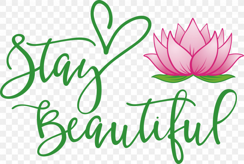 Stay Beautiful Fashion, PNG, 3000x2020px, Stay Beautiful, Cut Flowers, Fashion, Floral Design, Flower Download Free