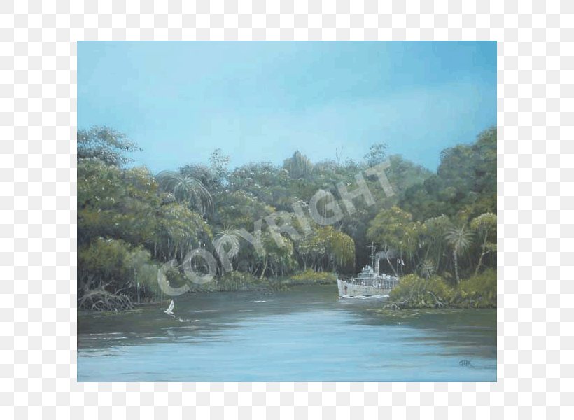 Water Resources Nature Reserve Loch Plant Community Vegetation, PNG, 600x600px, Water Resources, Bank, Bay, Bayou, Coast Download Free