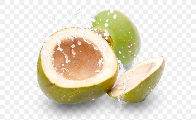 Coconut Water Juice Gelatin Dessert, PNG, 700x505px, Coconut Water, Citrus, Coco, Coconut, Drink Download Free