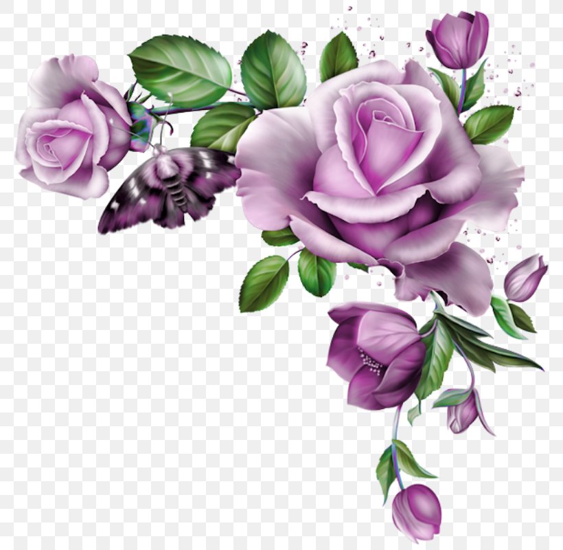 Flower Blue Rose Clip Art, PNG, 793x800px, Flower, Blue, Blue Rose, Cut Flowers, Floral Design Download Free