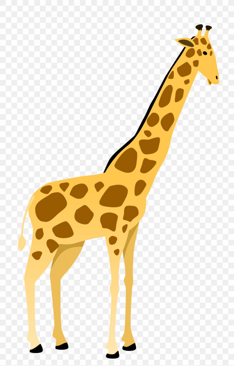 Lion Cartoon, PNG, 863x1350px, Giraffe, Adaptation, Animal, Animal