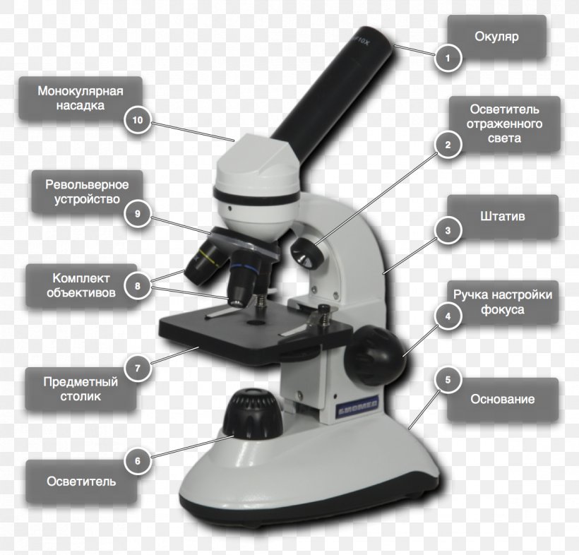 Microscope Magnification Medicine Medical Equipment Knowledge, PNG, 1168x1120px, Microscope, Advertising, Beer Brewing Grains Malts, Education, Knowledge Download Free