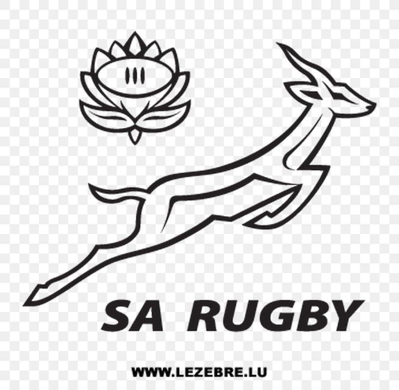 South Africa National Rugby Union Team United States National Rugby Union Team The Rugby Championship, PNG, 800x800px, South Africa, Area, Black And White, Brand, Line Art Download Free