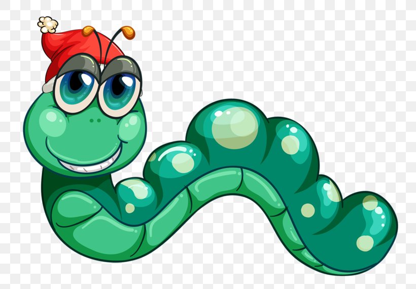 Worm Photography Illustration, PNG, 800x570px, Worm, Amphibian, Art, Can Stock Photo, Cartoon Download Free