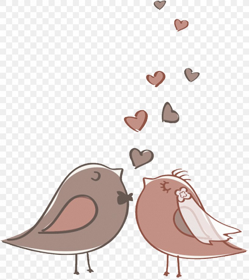 Cartoon Pink Pigeons And Doves Bird Footwear, PNG, 1037x1169px, Cartoon, Beak, Bird, Footwear, Love Download Free