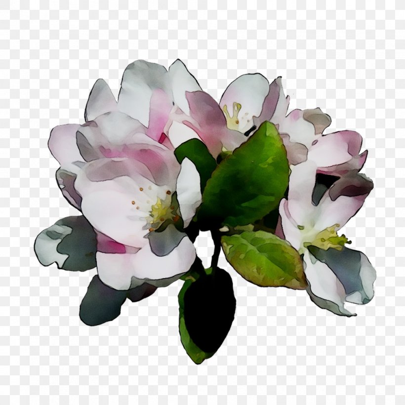 Cut Flowers Branch Plants Tree, PNG, 1008x1008px, Flower, Artificial Flower, Beauty, Blossom, Branch Download Free