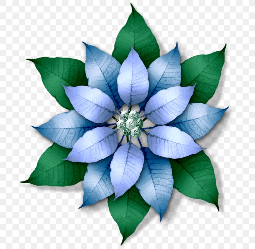 Blue Flower PNG Images | Free Photos, PNG Stickers, Wallpapers &  Backgrounds - rawpixel