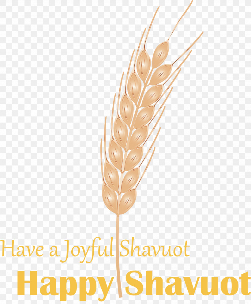 Feather, PNG, 2479x3000px, Happy Shavuot, Feather, Food Grain, Grass Family, Paint Download Free