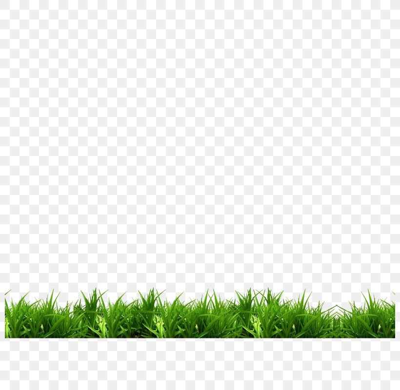 Park Bench White Green, PNG, 800x800px, Park, Bench, Fence, Google Images, Grass Download Free