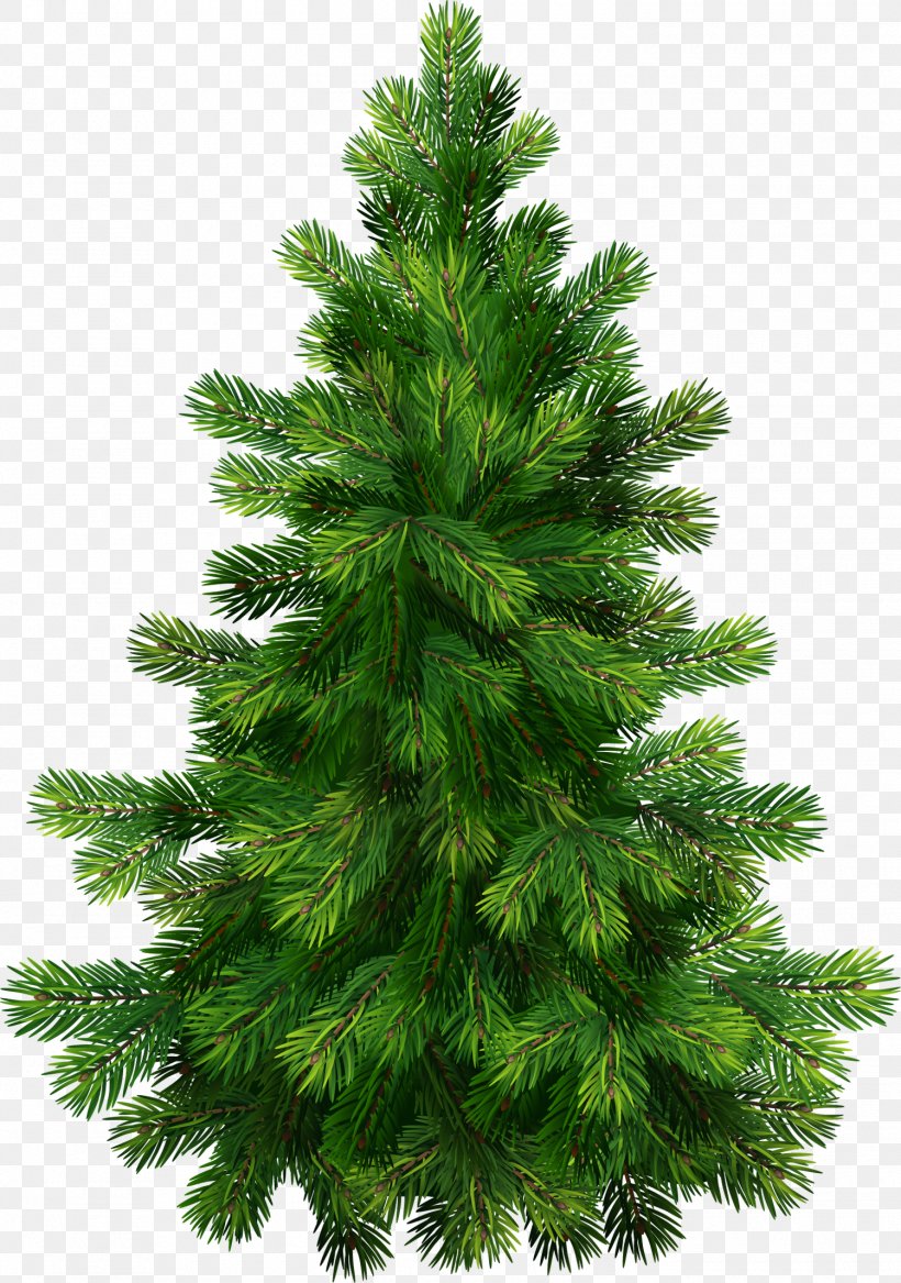 Pine Tree Clip Art, PNG, 1500x2136px, Pine, Biome, Branch, Christmas, Christmas Decoration Download Free