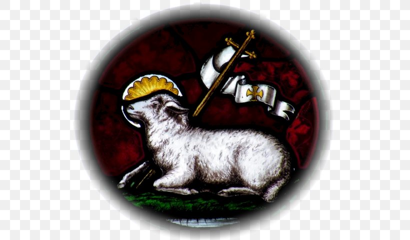 Sheep Book Of Revelation Christian Symbolism Lamb Of God, PNG, 527x480px, Sheep, Book Of Revelation, Carnivoran, Christian Cross, Christian Symbolism Download Free