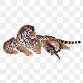 Tiger - Siberian Tiger Lion Bengal Tiger Cat Animal PNG