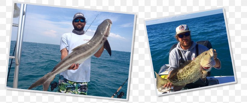 Bradenton-Sarasota-Venice, FL Metropolitan Statistical Area Gulf Cart Fishing Charters Leisure, PNG, 1500x630px, Sarasota, Advertising, Angling, Bradenton, Fishing Download Free