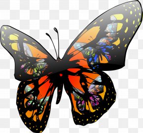 Butterfly - Butterfly Effect Insect Chaos Theory Clip Art PNG