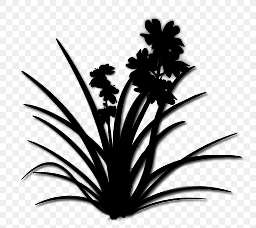 Palm Trees Silhouette Flower Leaf, PNG, 770x731px, Palm Trees, Arecales, Blackandwhite, Botany, Flower Download Free
