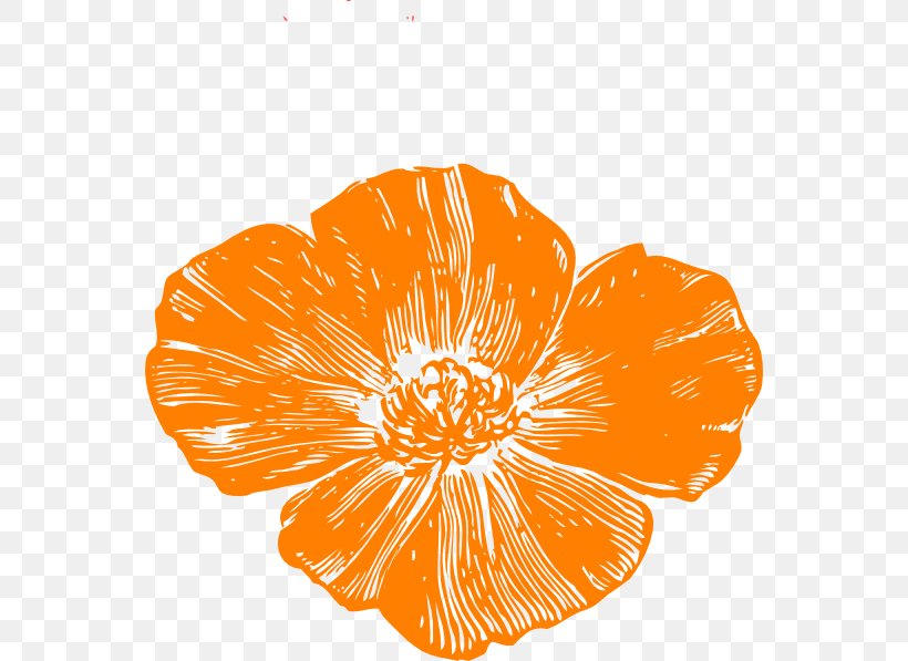 Remembrance Poppy Clip Art, PNG, 558x597px, Poppy, Anzac Day, Armistice Day, California Poppy, Common Poppy Download Free