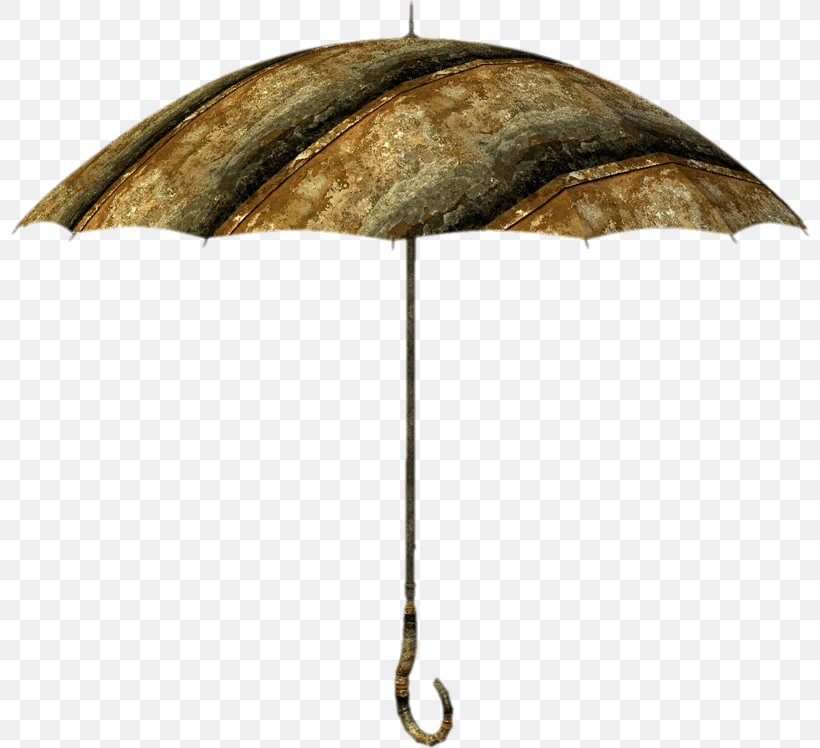 Umbrella, PNG, 800x748px, Umbrella Download Free