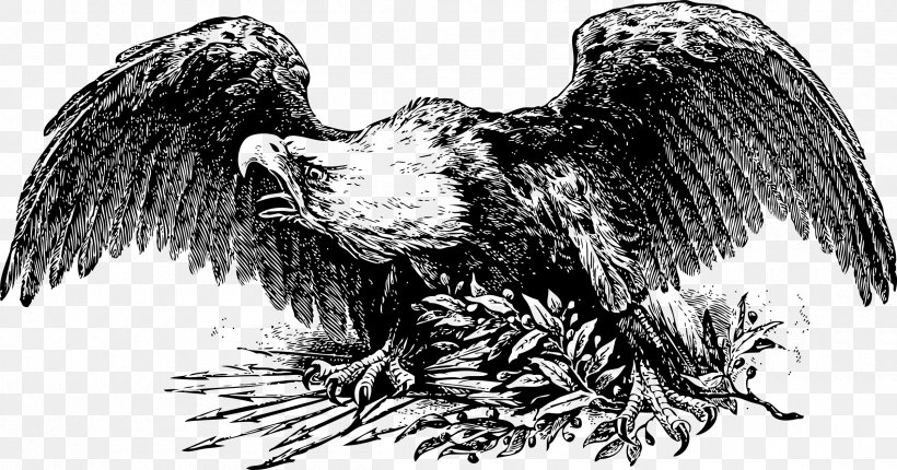 War Eagle Drawing Clip Art, PNG, 2400x1260px, War Eagle, Bald Eagle, Beak, Bird, Bird Of Prey Download Free